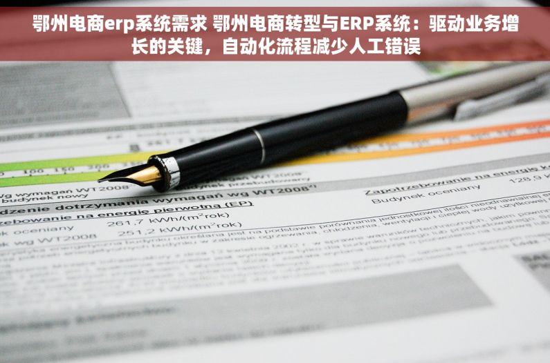 鄂州电商erp系统需求 鄂州电商转型与ERP系统：驱动业务增长的关键，自动化流程减少人工错误