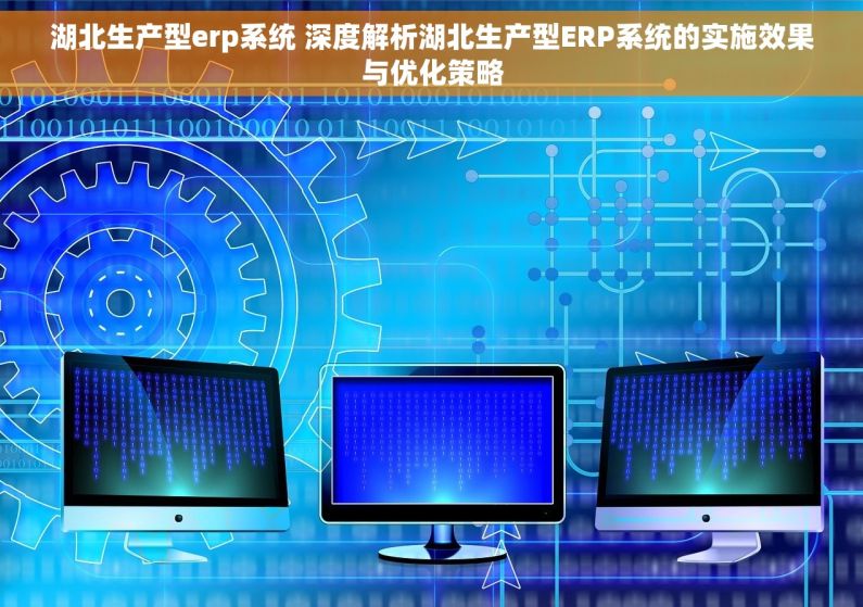 湖北生产型erp系统 深度解析湖北生产型ERP系统的实施效果与优化策略