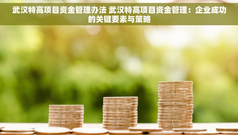 武汉特高项目资金管理办法 武汉特高项目资金管理：企业成功的关键要素与策略