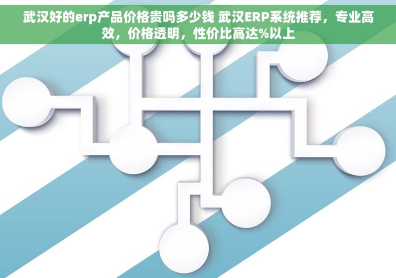 武汉好的erp产品价格贵吗多少钱 武汉ERP系统推荐，专业高效，价格透明，性价比高达%以上