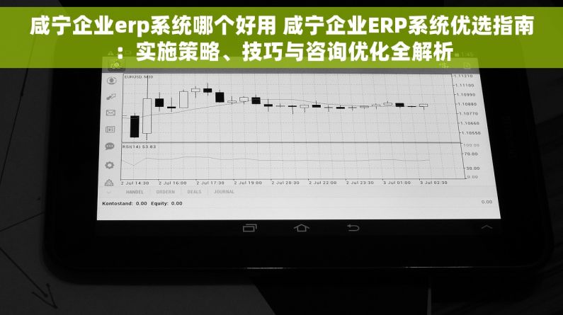 咸宁企业erp系统哪个好用 咸宁企业ERP系统优选指南：实施策略、技巧与咨询优化全解析