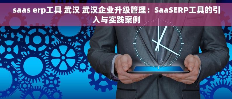 saas erp工具 武汉 武汉企业升级管理：SaaSERP工具的引入与实践案例