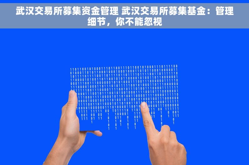 武汉交易所募集资金管理 武汉交易所募集基金：管理细节，你不能忽视