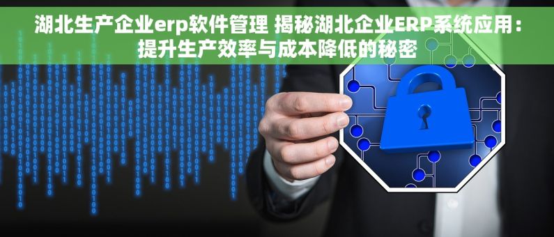 湖北生产企业erp软件管理 揭秘湖北企业ERP系统应用：提升生产效率与成本降低的秘密