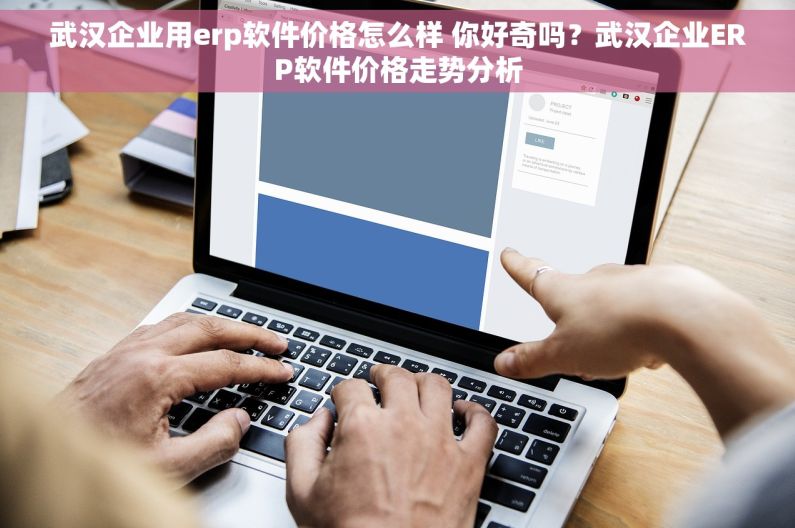 武汉企业用erp软件价格怎么样 你好奇吗？武汉企业ERP软件价格走势分析