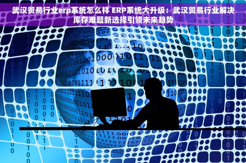 武汉贸易行业erp系统怎么样 ERP系统大升级：武汉贸易行业解决库存难题新选择引领未来趋势