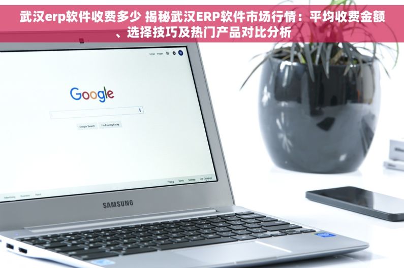 武汉erp软件收费多少 揭秘武汉ERP软件市场行情：平均收费金额、选择技巧及热门产品对比分析