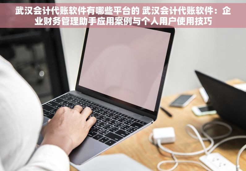 武汉会计代账软件有哪些平台的 武汉会计代账软件：企业财务管理助手应用案例与个人用户使用技巧