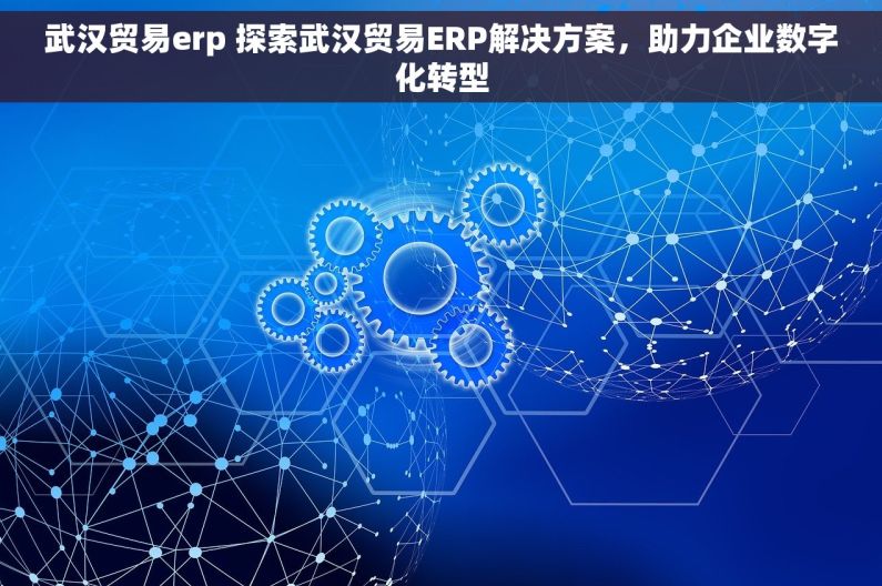 武汉贸易erp 探索武汉贸易ERP解决方案，助力企业数字化转型