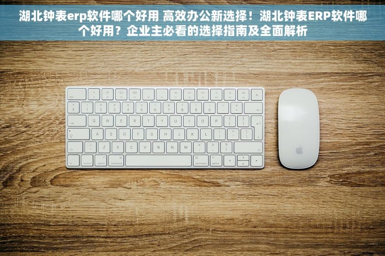 湖北钟表erp软件哪个好用 高效办公新选择！湖北钟表ERP软件哪个好用？企业主必看的选择指南及全面解析