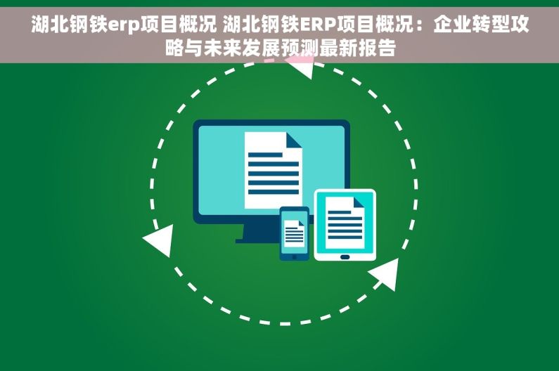 湖北钢铁erp项目概况 湖北钢铁ERP项目概况：企业转型攻略与未来发展预测最新报告